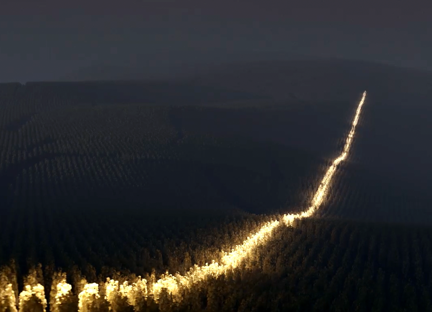 Dom Pérignon